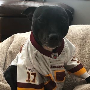 Meet your Posher, Oscar